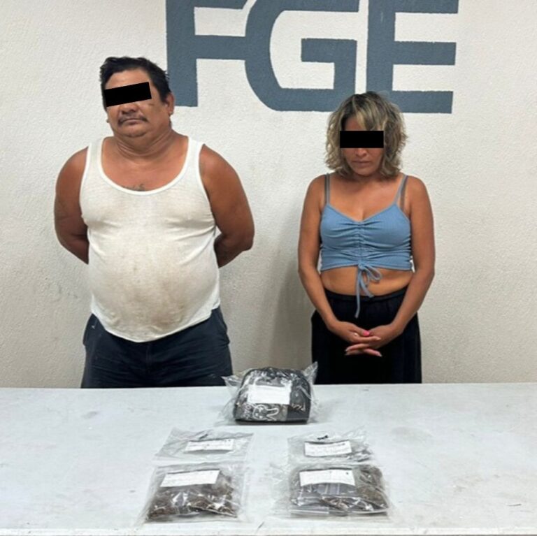 Arrestan 8 personas por narcomenudeo en Cozumel