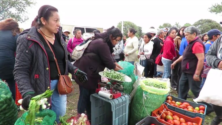 Reshaping Consumer Behavior, el programa de aceleración que revoluciona el manejo de residuos alimentarios en Latinoamérica