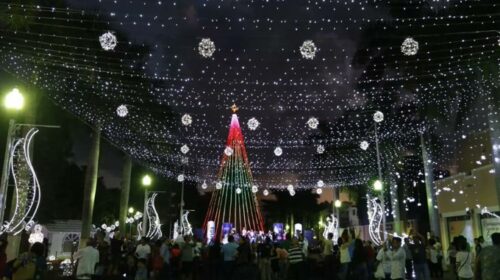 Alistan encendido de árbol y luces navideñas en Mérida