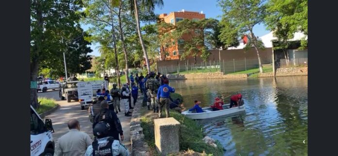 Captan a cocodrilo devorando el cuerpo de un joven en Tabasco