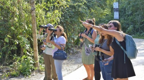 FPMC invita a la jornada de observación “Las Aves y su Paso Migratorio Urbano”