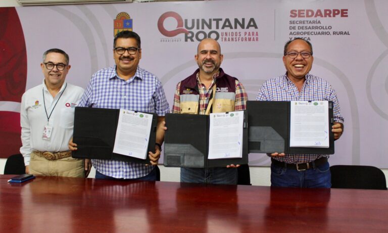 Invierten 4 MDP en contención del hongo Fusarum sp en la zona cañera de Q. Roo