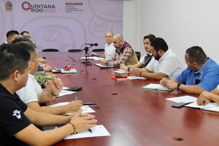 Implementan acciones preventivas en Q. Roo por gusano barrenador