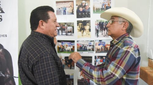 Yucatán refuerza sus acciones contra el gusano barrenador del ganado