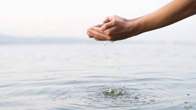 Agua virtual: El costo oculto de los bienes de consumo y su impacto medioambiental