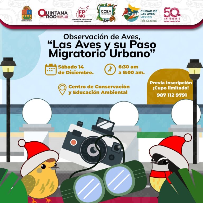FPMC invita al monitoreo “Las Aves y su Paso Migratorio Urbano”
