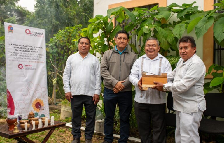 INMAYA fortalece legado cultural con preservación de la abeja Xunan Kab