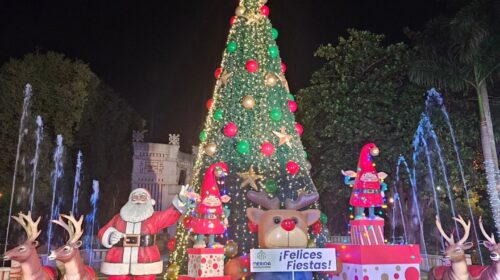 encienden árbol navideño en el Remate del Paseo de Montejo