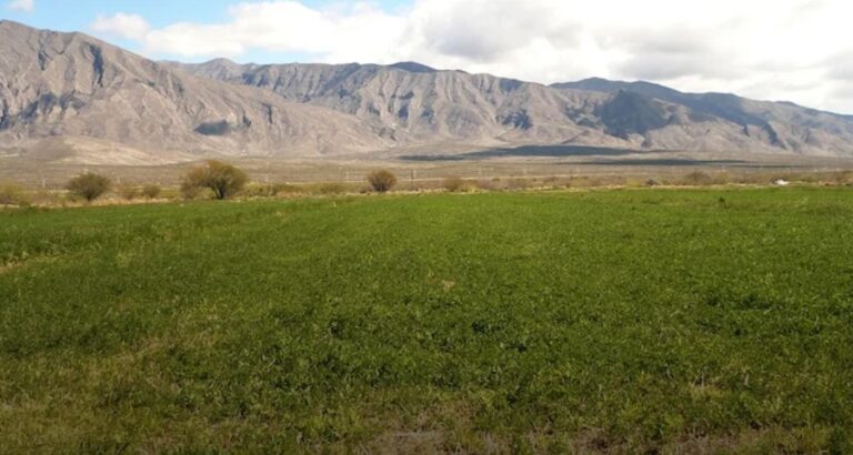 El suelo juega un papel importante en la dinámica climática