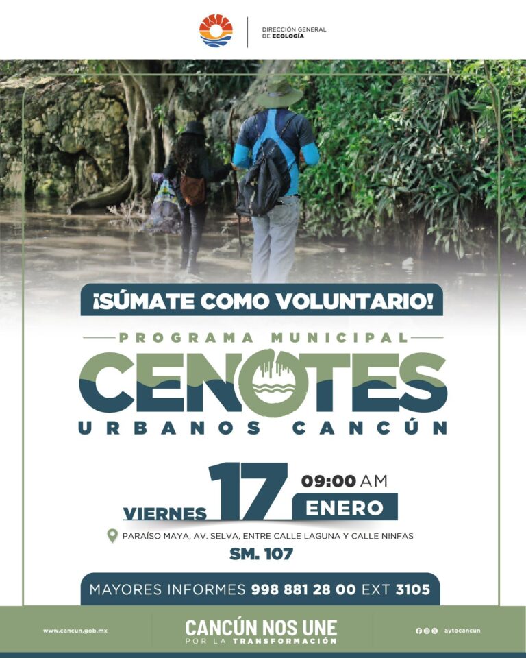 Invita gobierno de Benito Juárez a participar en actividades de cuidado al medio ambiente