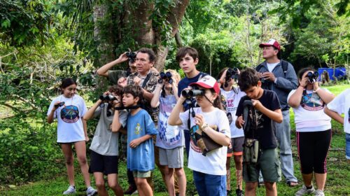 Conmemoran el Día Mundial de las Aves en Cozumel