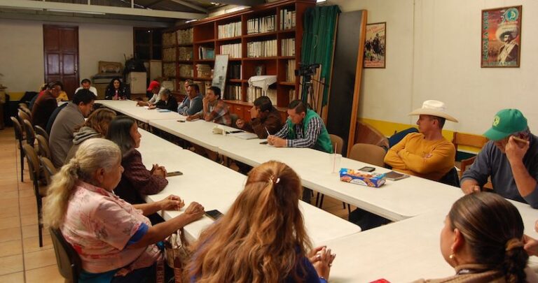 Prohibir la siembra de maíz transgénico es una medida a medias: UNTA