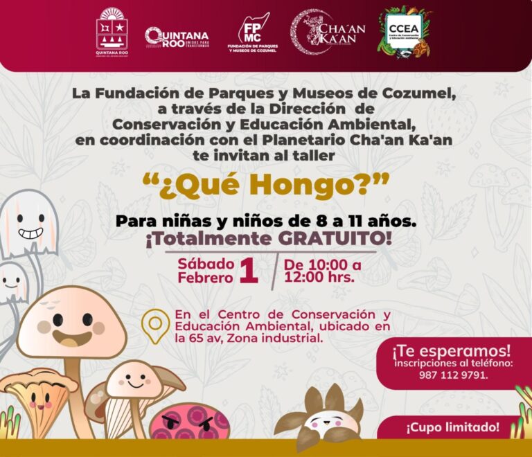 ‘¿Qué Hongo?’: FPMC y Planetario de Cozumel invitan al taller infantil