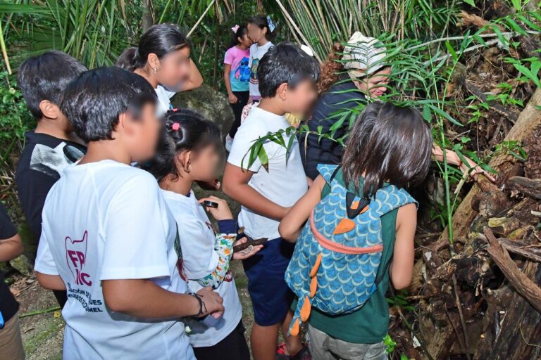 “¿Qué hongo?” fomenta la educación ambiental en Cozumel