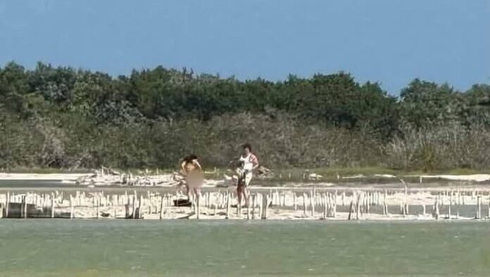 Captan a turistas semidesnudos en sesión fotográfica dentro de la Reserva de la Biósfera de Yucatán