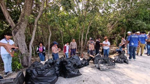 manglar de Solidaridad Nacional