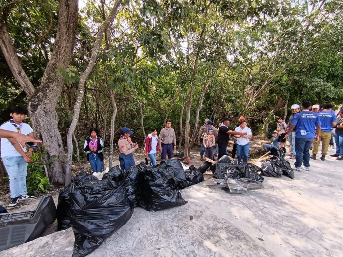 manglar de Solidaridad Nacional