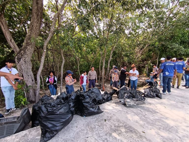 Limpian manglar en Solidaridad Nacional para proteger la biodiversidad