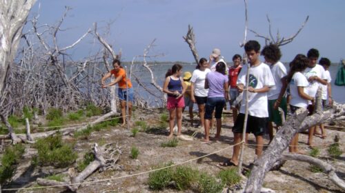 Reserva Ecológica de Punta Sur