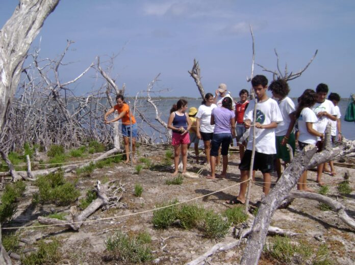 Reserva Ecológica de Punta Sur