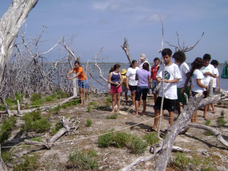 Regreso de aves a Reserva Ecológica de Punta Sur, Cozumel
