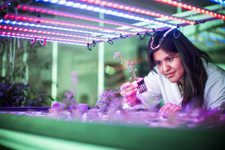 Mujeres mexicanas, ¡es tu oportunidad! Postúlate para las Becas Women in STEM 2025