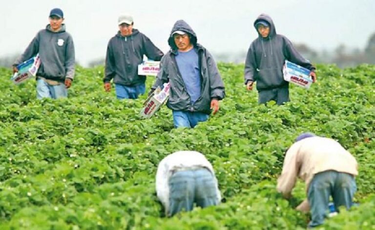 LA PIEDRA DE SÍSIFO: EU y México: convivencias imperfectas