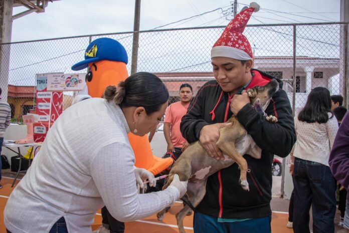 Continúa la vacunación antirrábica en Campeche