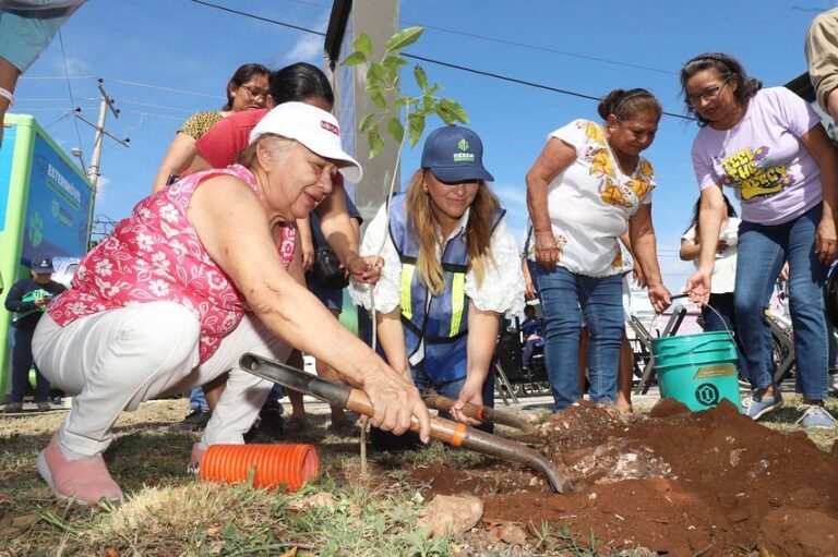Destinarán más de 250 mil plantas para arborizar Mérida