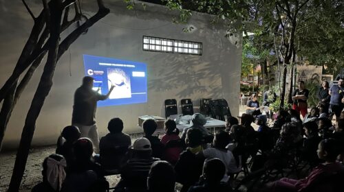 Programa de conservación de murciélagos de la isla Cozumel