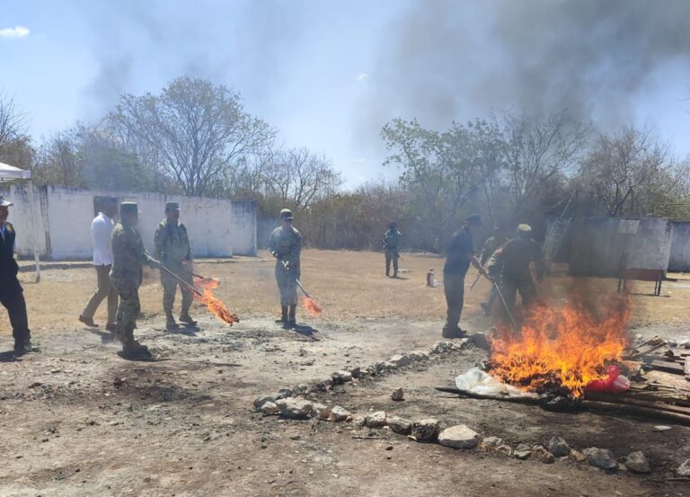 Incineran drogas incautadas en Yucatán