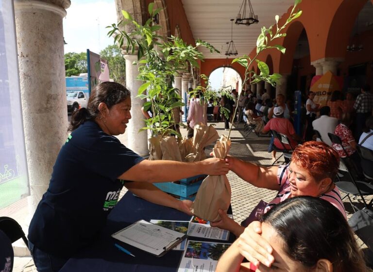 Más de 20 mil familias han adoptado un árbol en Mérida