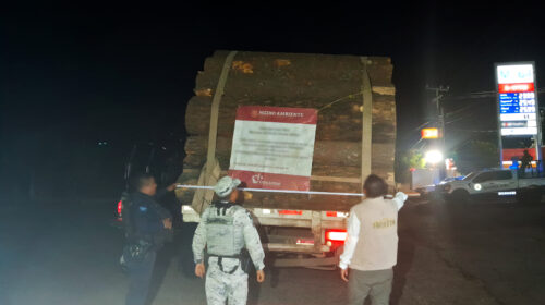 Profepa ,inspección forestal , tala ilegal, transporte ilícito de productos forestales