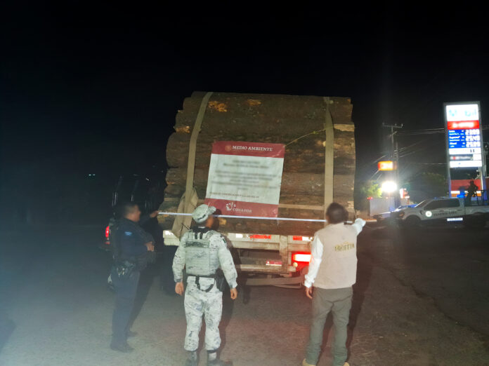 Profepa ,inspección forestal , tala ilegal, transporte ilícito de productos forestales