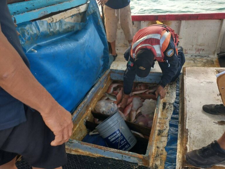 Marina incauta más de una tonelada de pescado durante temporada de veda en Yucatán