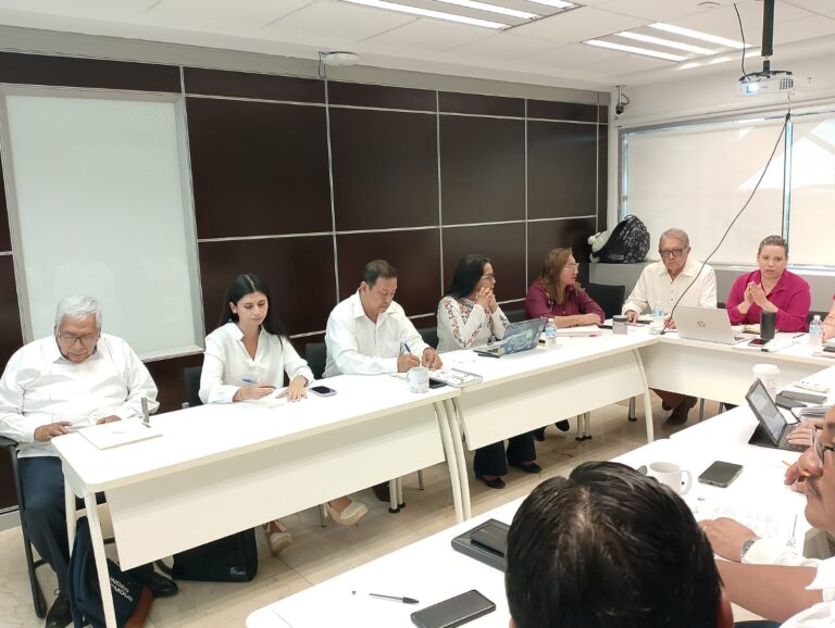 Península de Yucatán avanza hacia el reconocimiento oficial de su Miel Apis