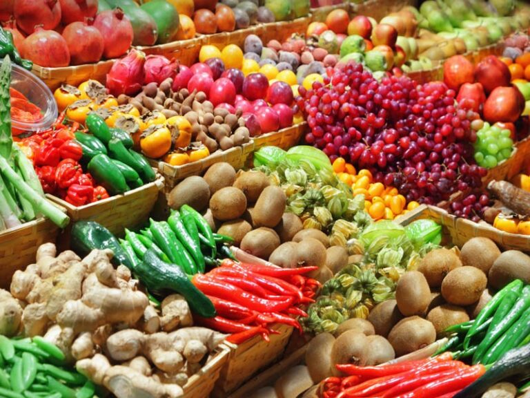 Presenta Claudia Sheinbaum plan para garantizar la Soberanía y la autosuficiencia alimentaria con una inversión de cerca de 54 mil mdp para este año