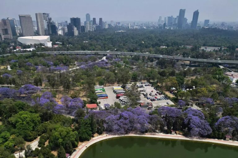 Se corre el riesgo de que sean simulados los referendos públicos del IDPD para determinar el reordenamiento urbano
