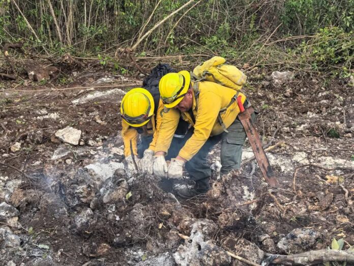 Quintana Roo enfrenta temporada activa de incendios forestales