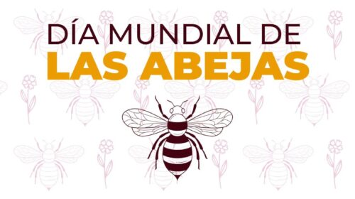 Día mundial de las Abejas
