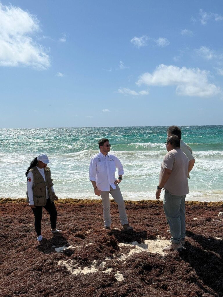 Arranca la 9° Semana Estatal de la Tortuga Marina en Tulum
