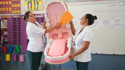 Brigadas de Salud