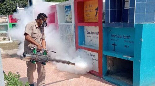 Campeche avanza en el combate del dengue