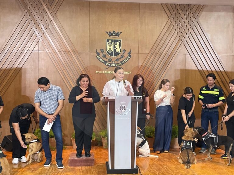 Cecilia Patrón lanza el programa “De la Calle al Corazón” para el rescate de perros de la calle