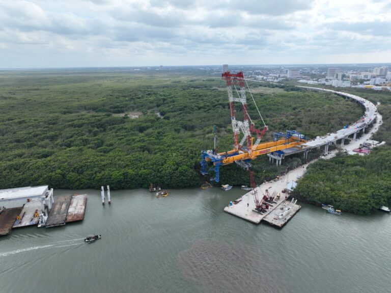 Recuperan 306 hectáreas de manglar durante construcción del Puente Vehicular Nichupté