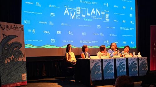 Gael García y Ambulante llegan a Yucatán