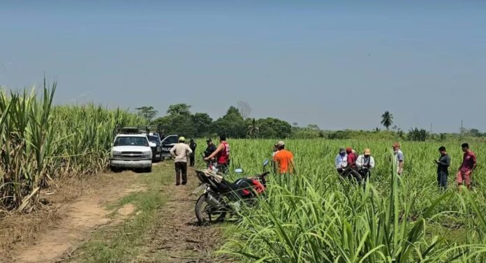 Hallan 4 cuerpos en camino de terracería de Cárdenas, Tabasco