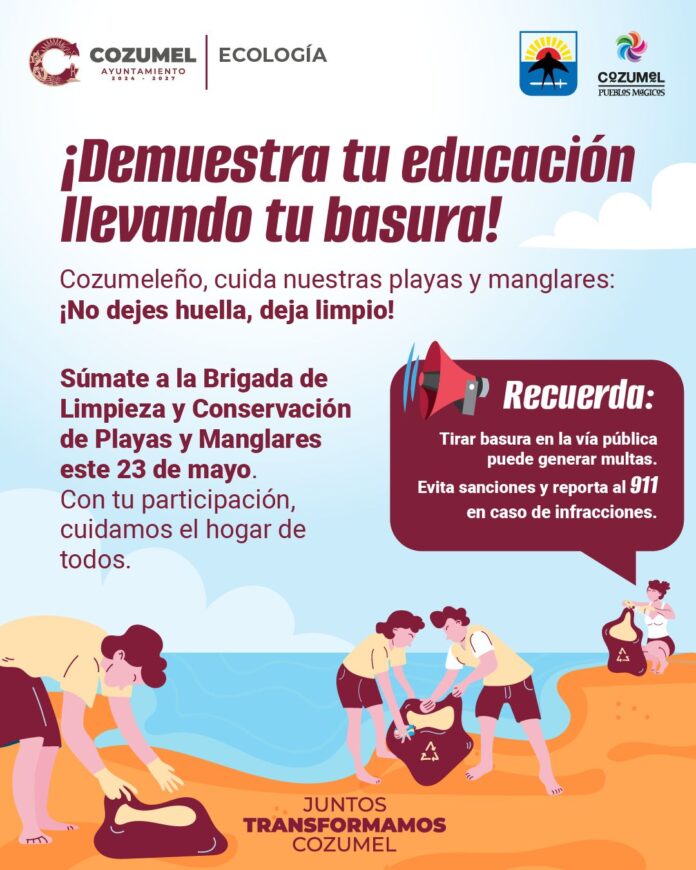 limpieza masiva de playas