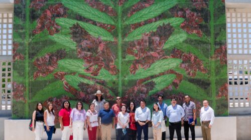 Invitan a estudiar en la Universidad ′Rosario Castellanos′, sede Kanasín