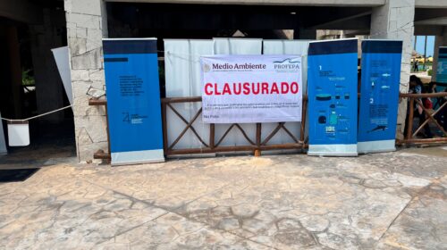 Profepa clausura 'Dolphinaris Barceló' por maltrato a delfín